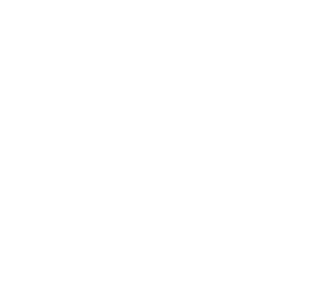 Solv Icon